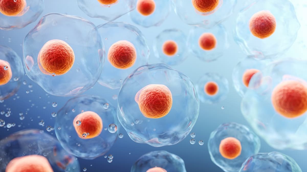 Cellular Reprogramming: The Expert Roundup