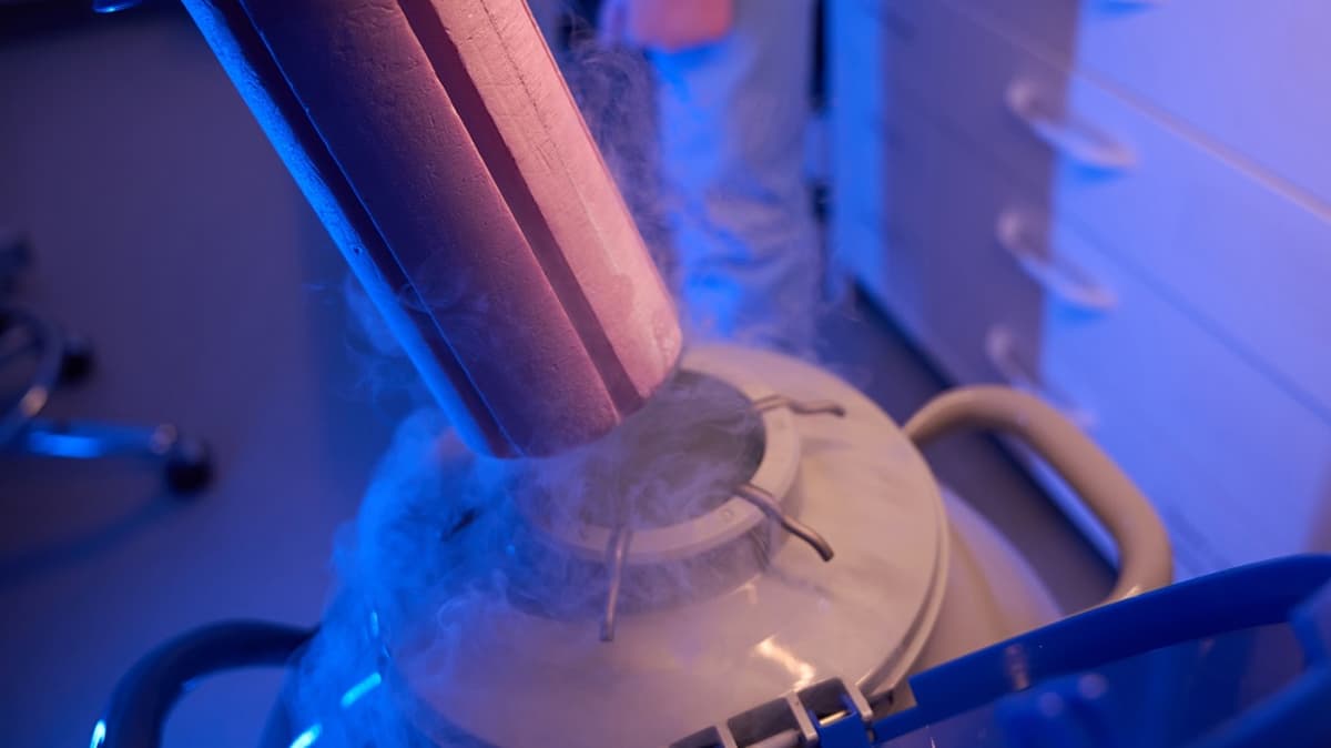 Scientists Successfully Freeze and Rewarm Mouse Brain Slices