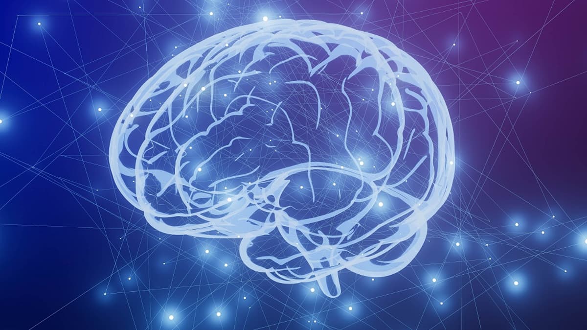Tau Protein Is Crucial for Encoding Long-Term Memory