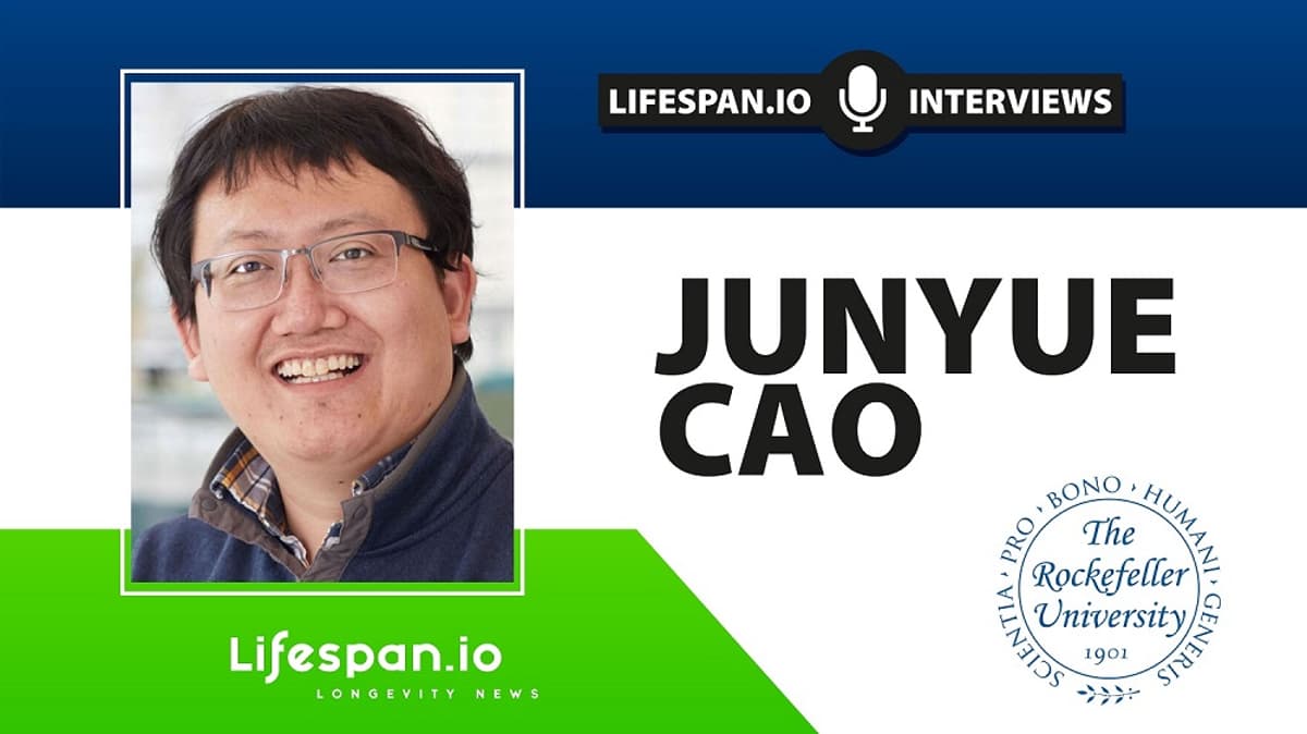 Junyue Cao on How the Body Ages, Cell by Cell