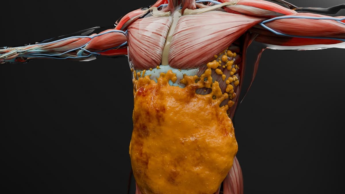 GLP-1 Drugs’ Muscle Effects Similar to Ordinary Weight Loss