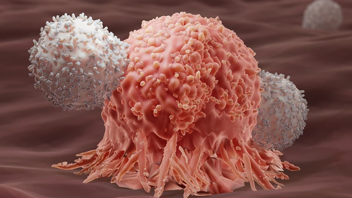 New mRNA Therapy Destroys Cancer by Improving T Cell Priming