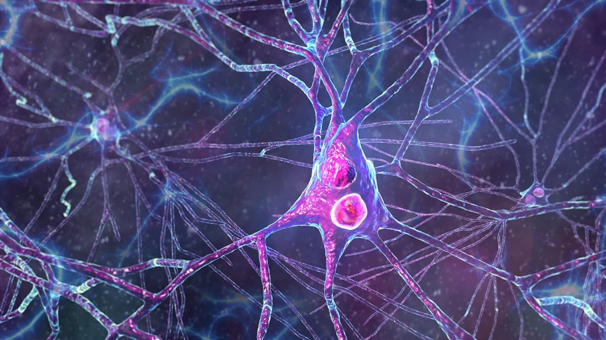 Fighting Parkinson’s by Restoring Protein Degradation