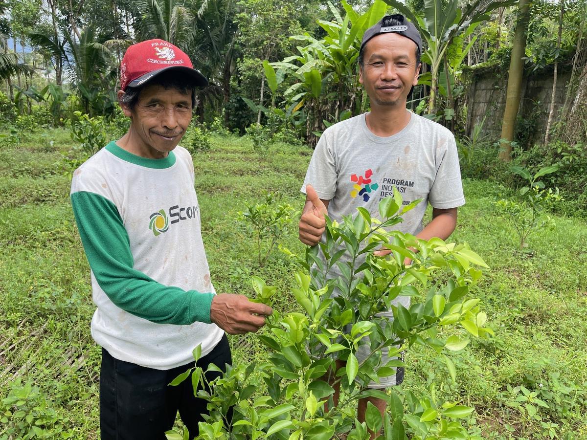 How Indonesian Farmers Are Protecting Australia's $1b Citrus Industry