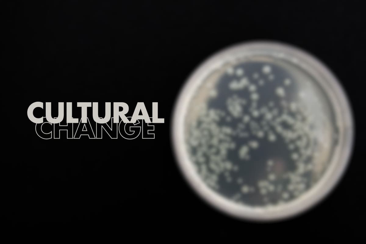 Cultural Change