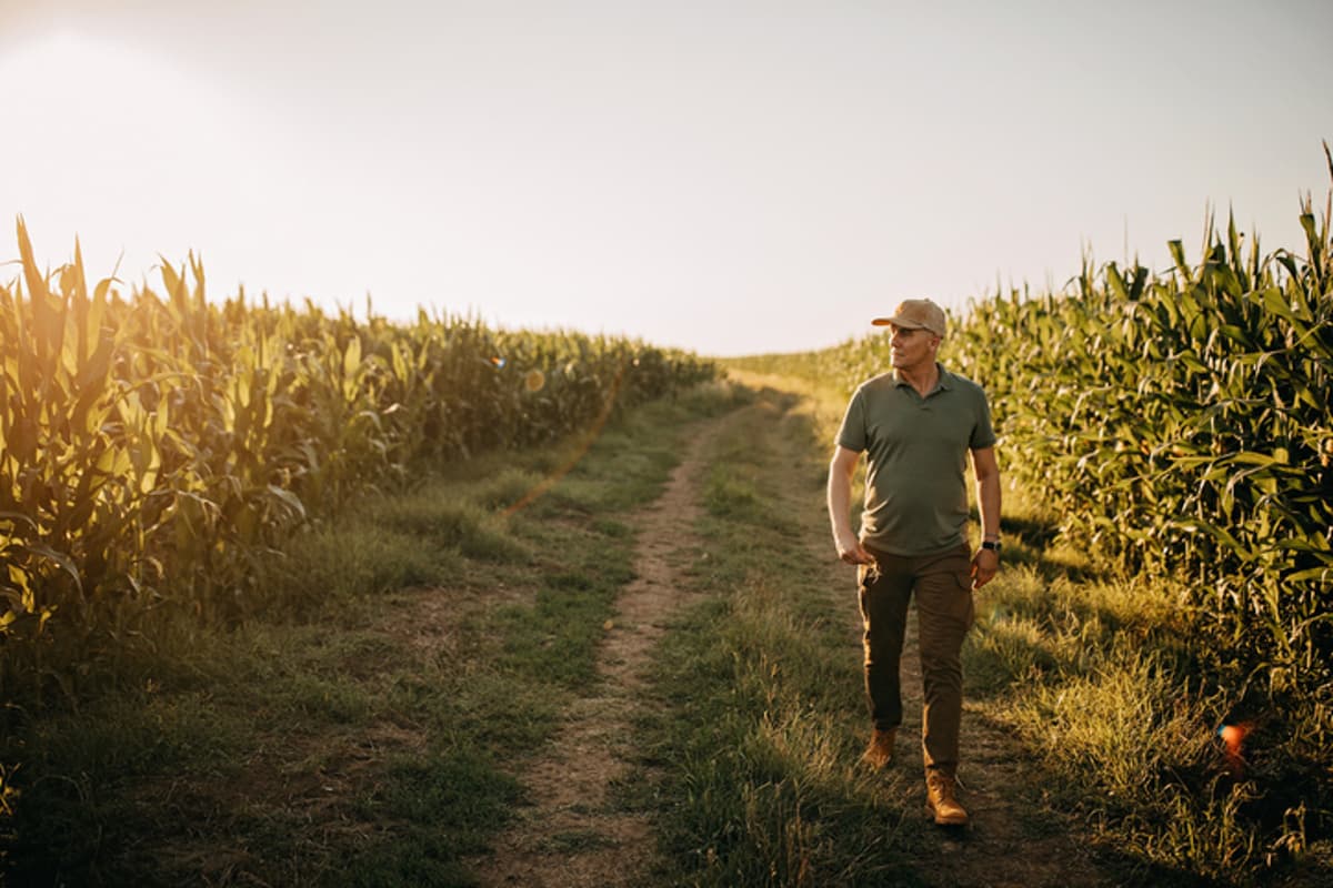 Building the Backbone of Rural Health: Meeting the Reality on the Ground