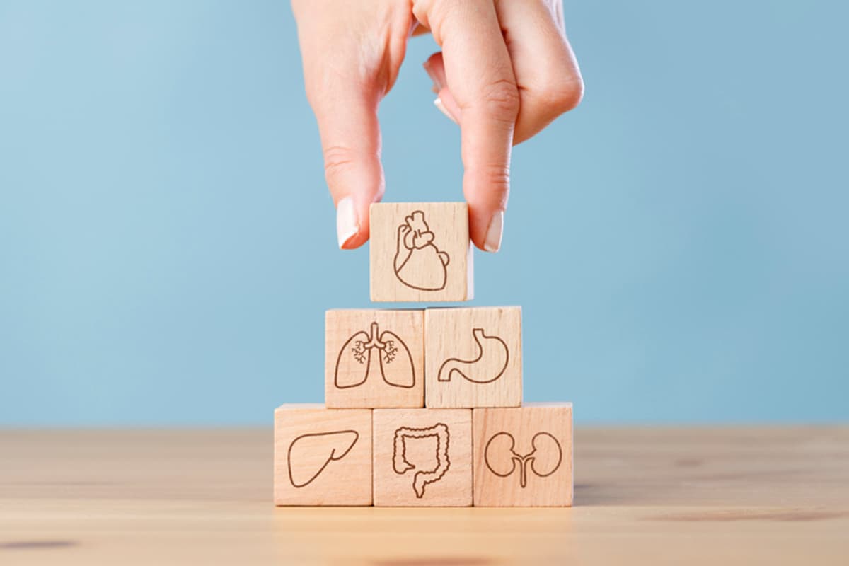 AI in Transplant Diagnostics: Turning Complexity Into Clinical Clarity