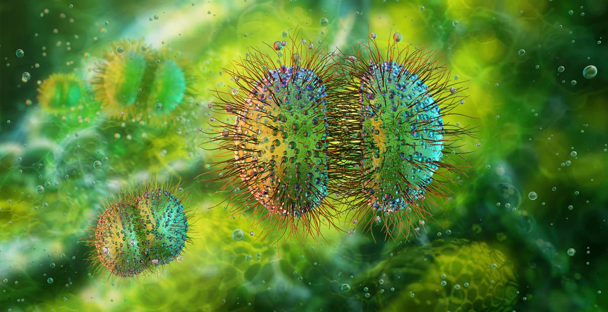 How Bayesian Health’s Sepsis AI Tool Is Decreasing Alerts & Saving Lives