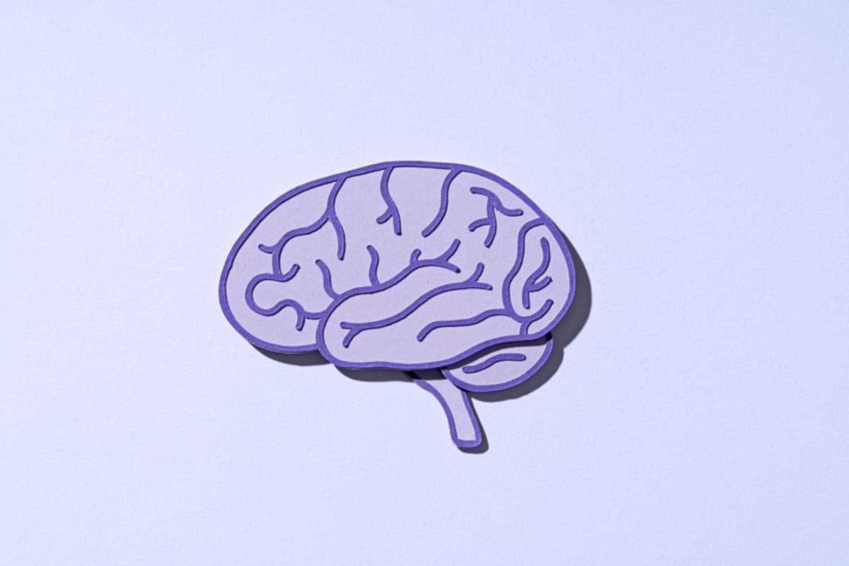 CereVasc Rakes In $85M to Challenge Traditional Brain Shunt Surgery