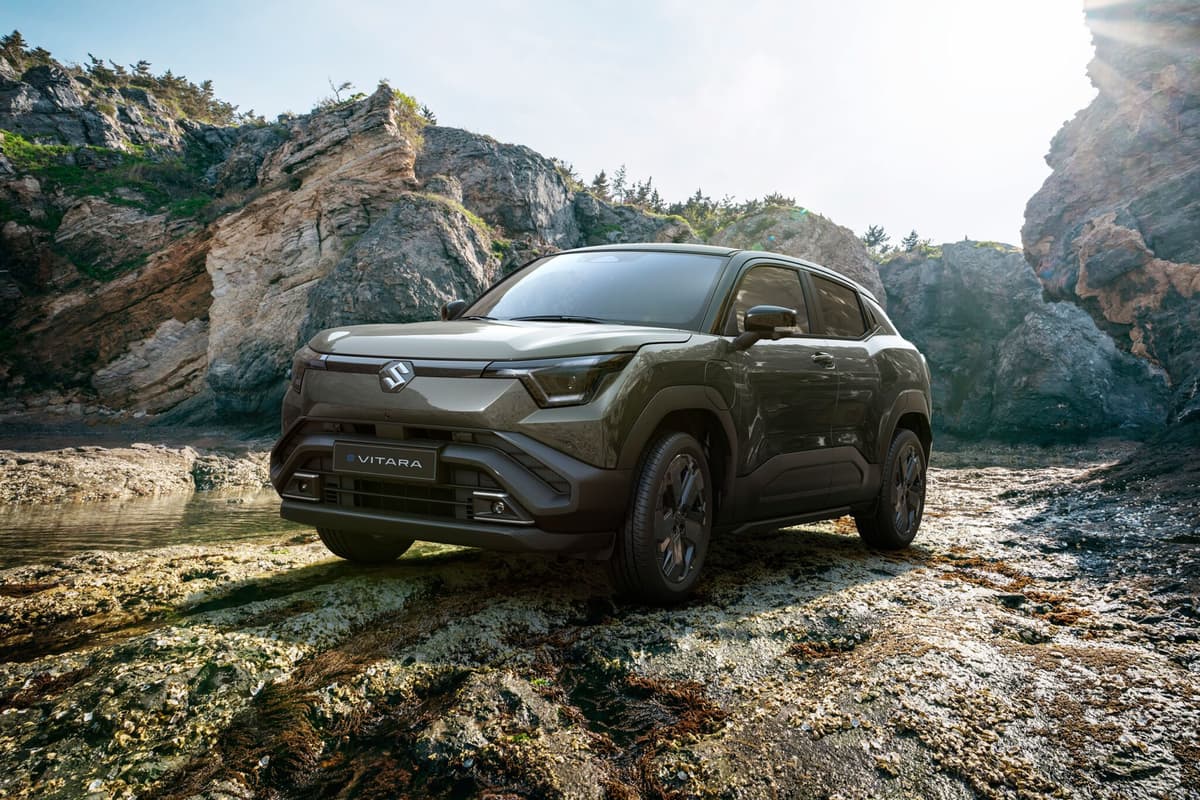 Suzuki Profile and Production Forecast to 2030
