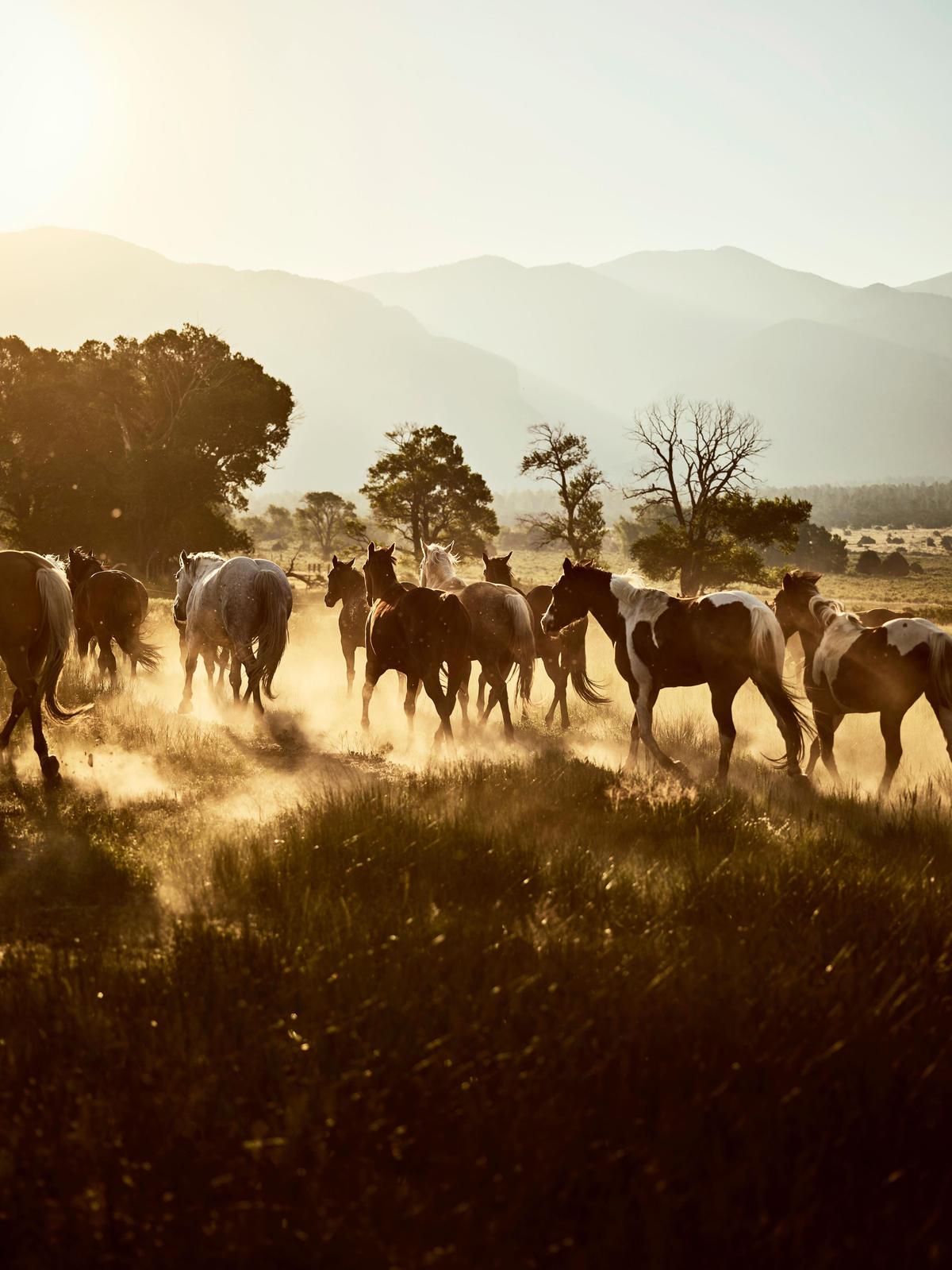 If You Love Horses, These Dreamy Equestrian Escapes Belong on Your Bucket List