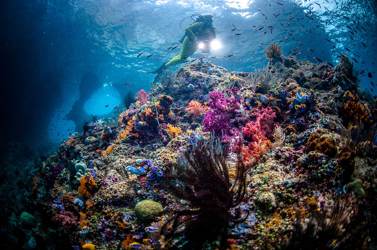 20 Best Snorkeling Destinations in the World for Beginners and Pros Alike