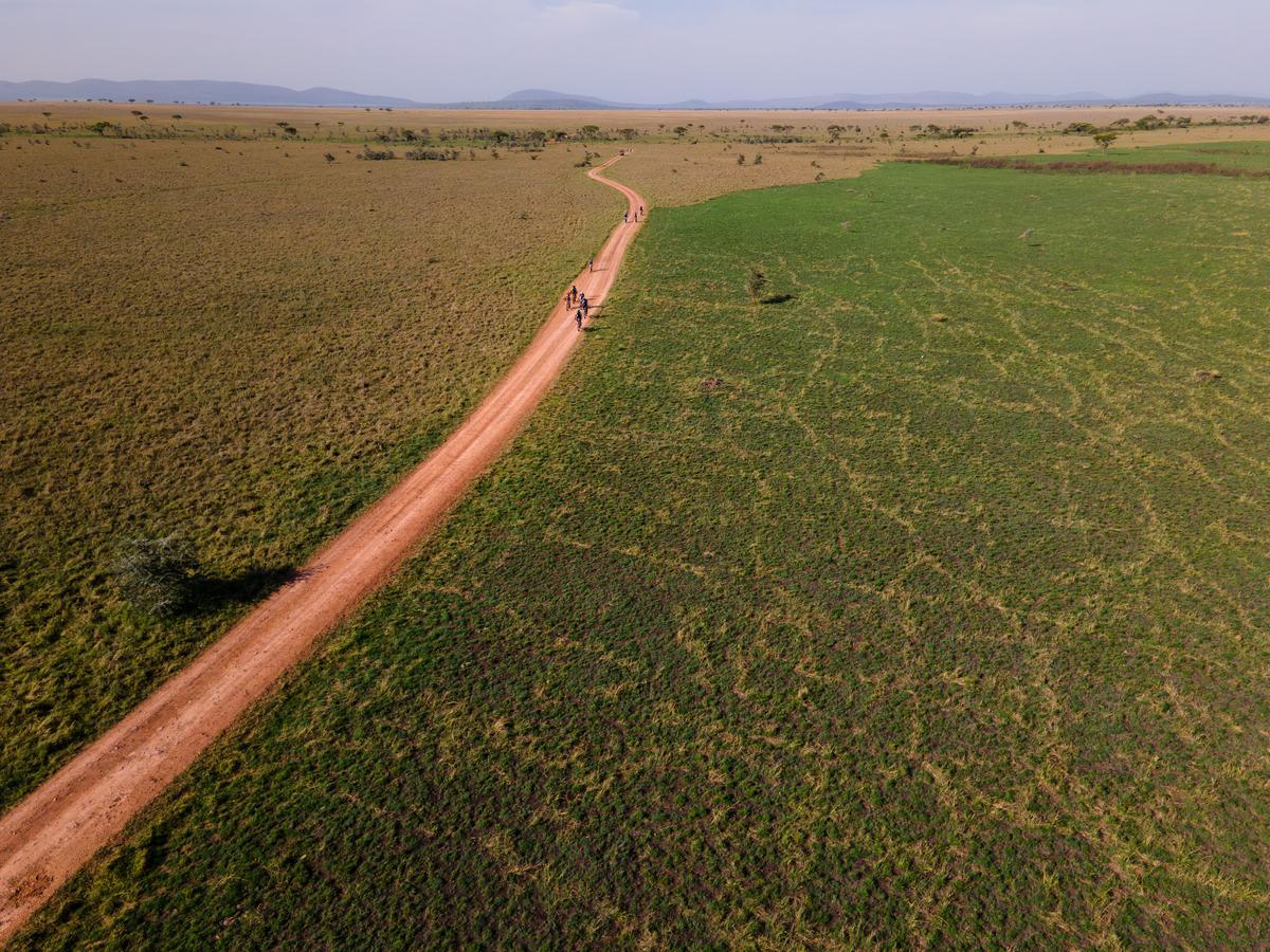 Are Biking Safaris the New Walking Safaris?