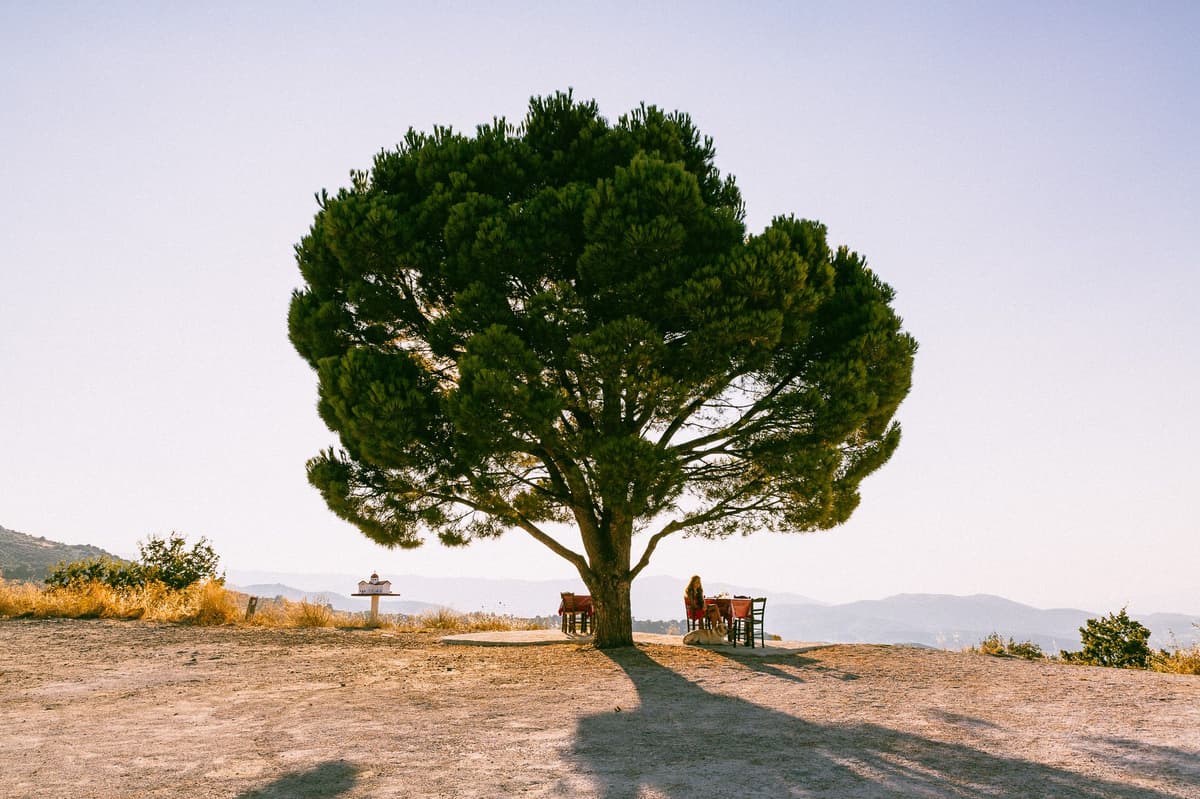 How to Decide Where to Stay in Crete, the Largest Greek Island