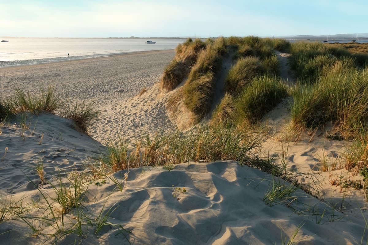 The Hamptons, But Make It British: An Ode to West Wittering in Sussex
