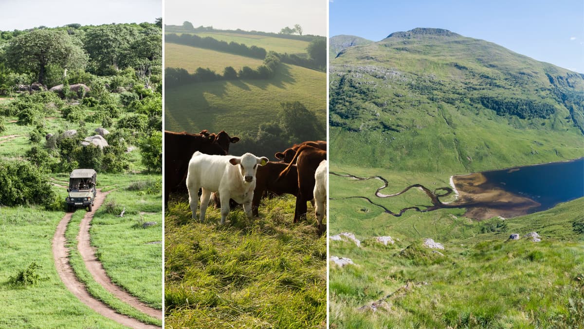 The Biggest Sustainability Trends in Travel for 2026