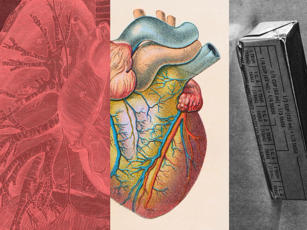 What Is LDL Cholesterol and How Do You Lower It?