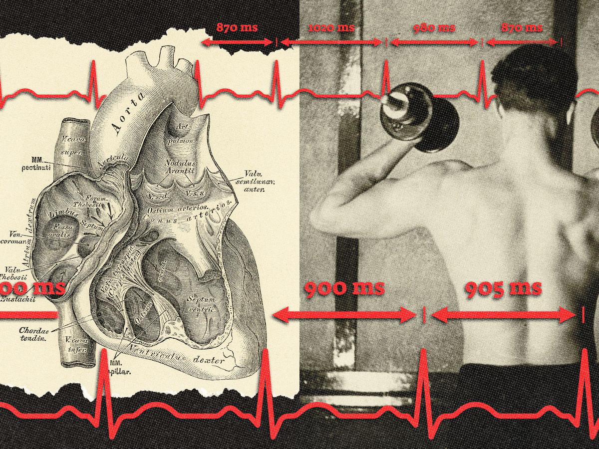 Why HRV Is the New Longevity Obsession