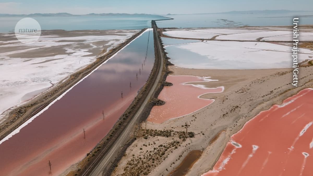 The World’s Salt Lakes Are Drying up, but Solutions Are Hard to Come By
