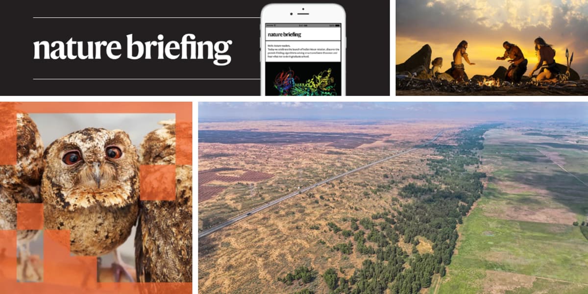 Daily Briefing: AI Systems Can ‘Teach’ Biases to Other Models