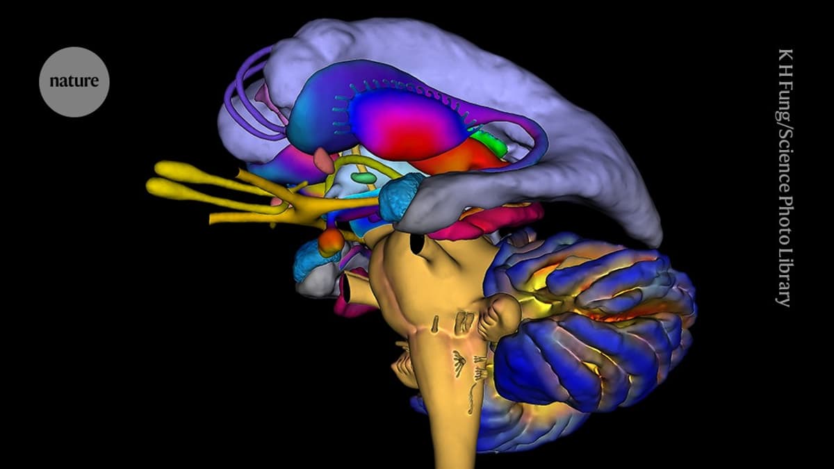 Stress Impairs Your Brain’s Ability to Link Memories — Dampening Insight