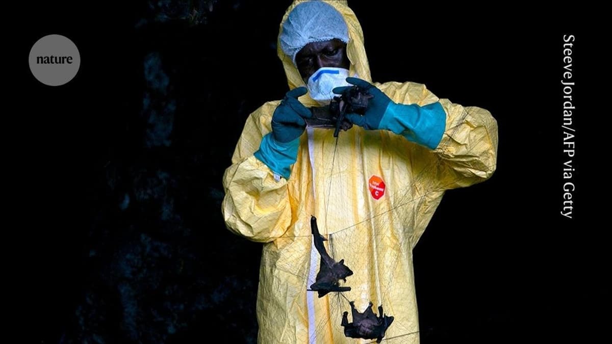 Ebola Outbreak Spirals Out of Control: How Might It Have Started?