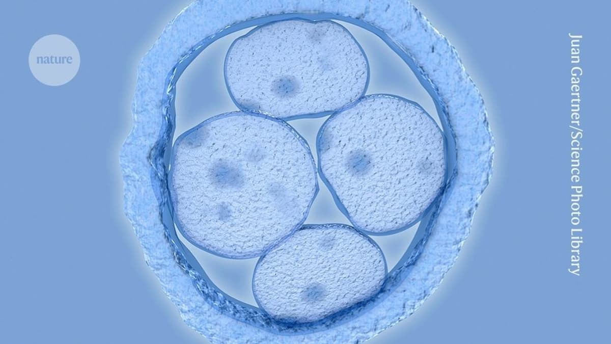 First Precise Genome Editing of Human Embryos Triggers Praise and Alarm
