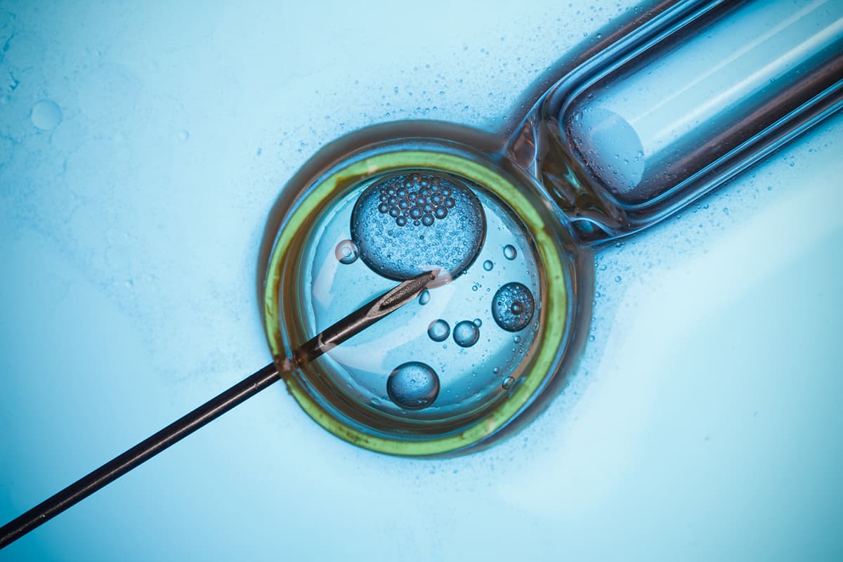 Blackstone, Audax, Five Arrows Eye Pharmaceutical and Life Science Consulting Firms; Drug R&D Complexity Drives Eir Partners to Invest in...