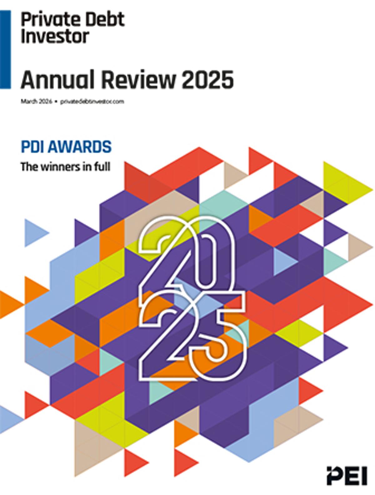 Download PDI’s 2025 Annual Review