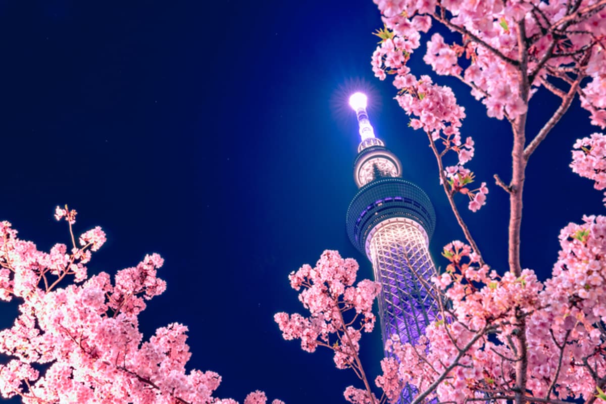 Japan’s Advantage Seeks to Double AUM in One Year