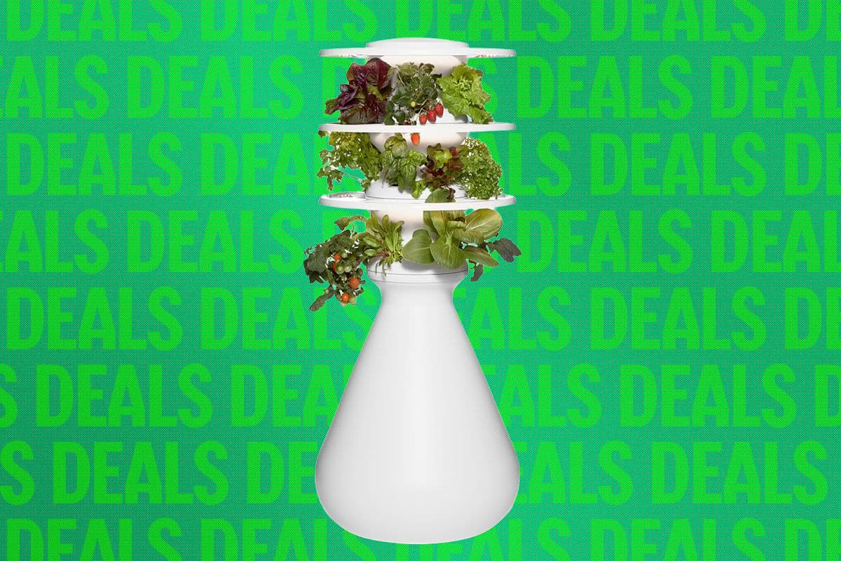 This Eye-Catching Indoor Garden Is 20 Percent Off Right Now