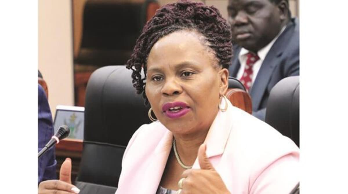 Zimbabwe SMEs Set to Power Green Revolution as Lithium Drives EV Boom