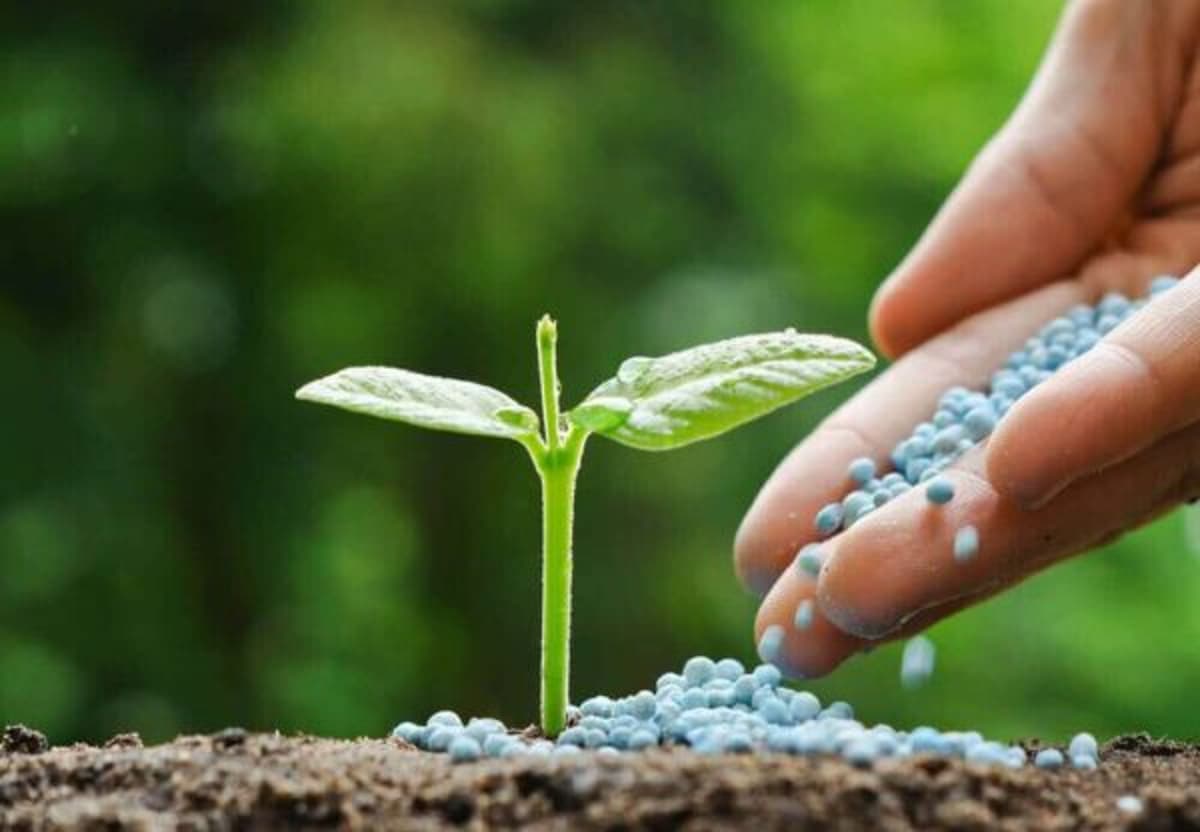 Zimbabwe Moves to Cut Fertiliser Costs by 40% with $1 Billion Coal Projects