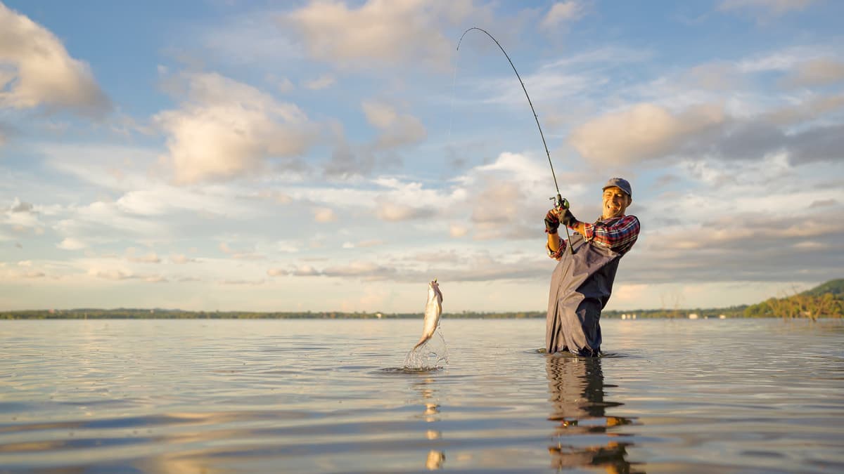 Fly-Fishing Mania Fuels Airbnb Rental Boom in Upstate New York