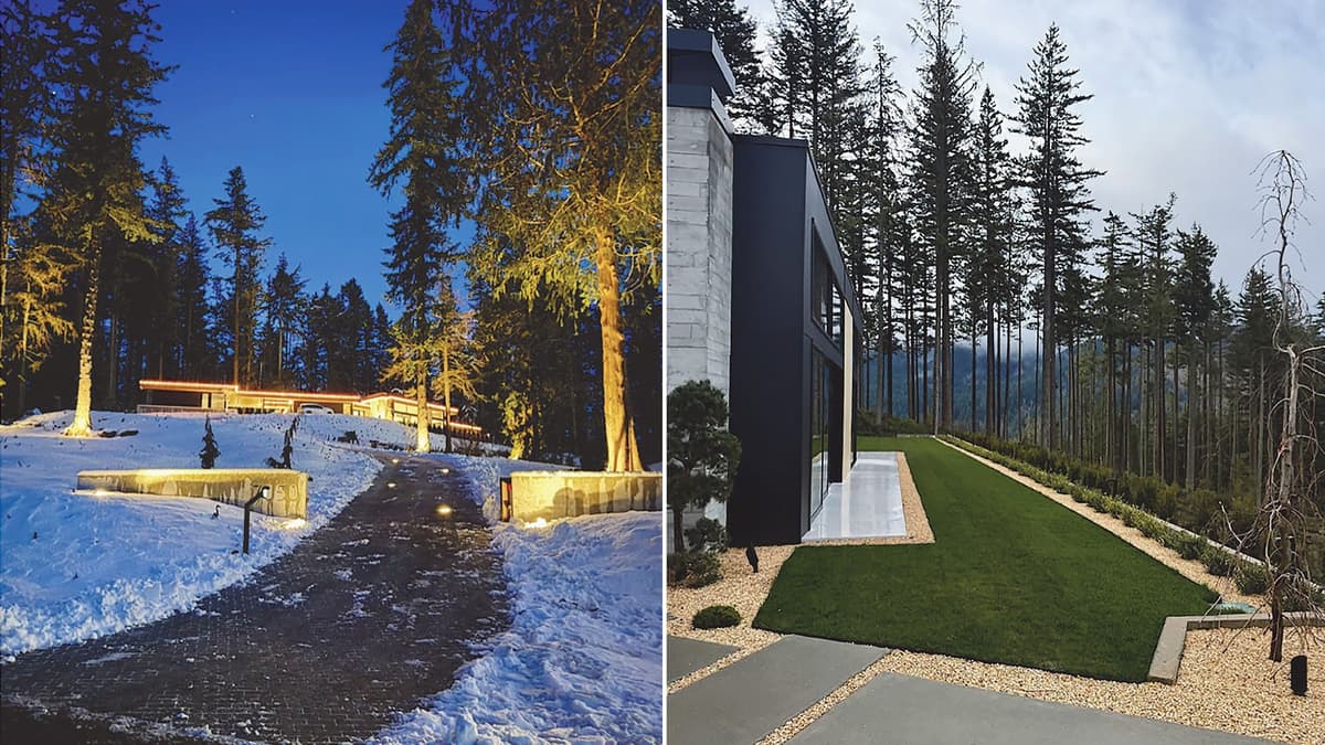 Lawsuit Accuses Homeowner of Cutting Trees in Public Park To Improve View From His Mansion