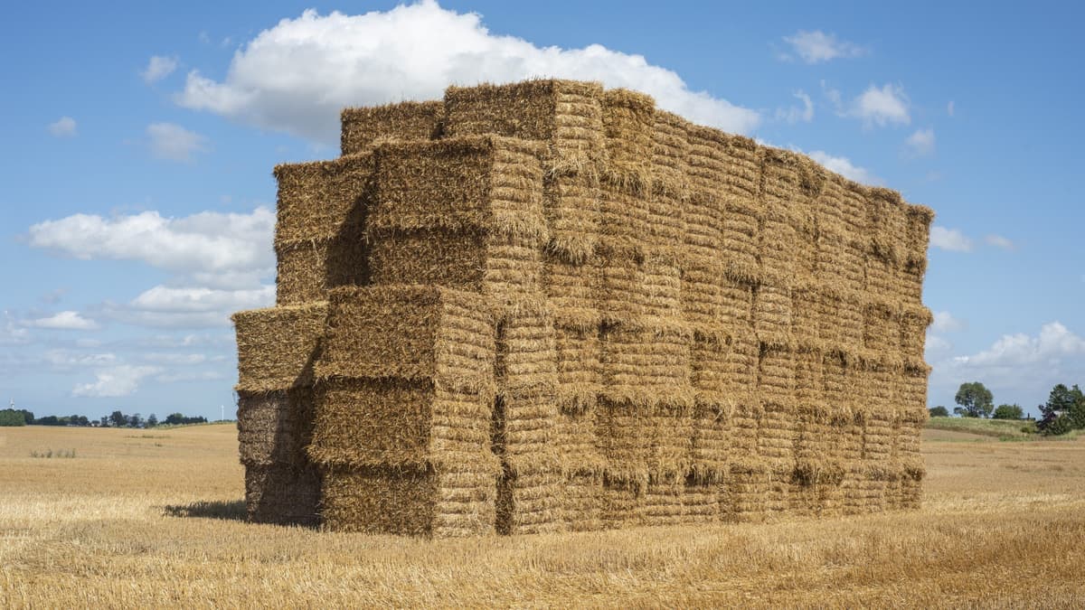 California Nonprofit Plans To Build Homes Out of Straw for Low-Income Residents