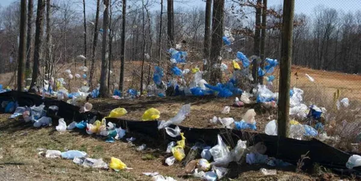 Microplastics, MAHA, and the Evolving Politics of Exposure Science