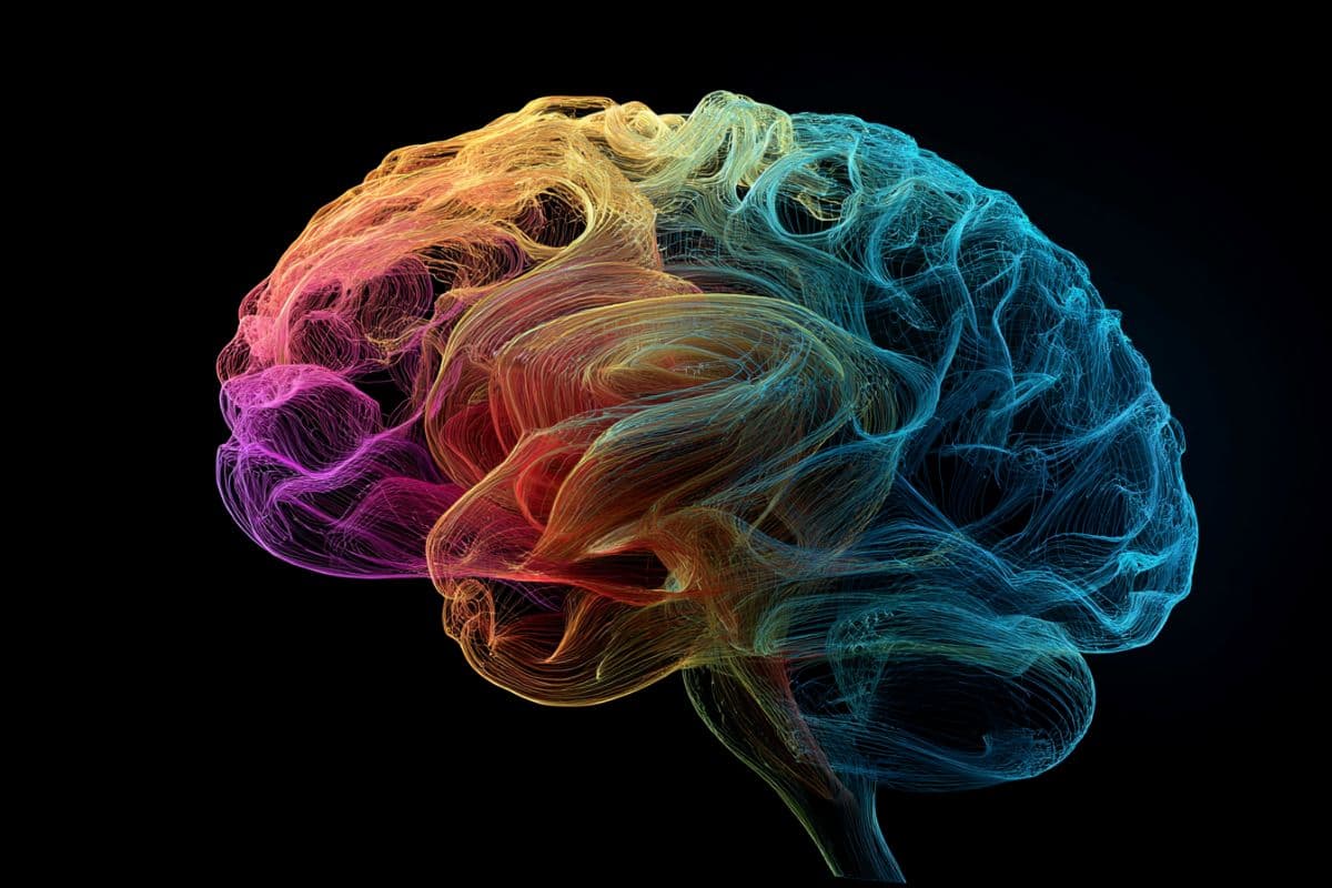 Single Workout Sparks Brain Ripples in Humans