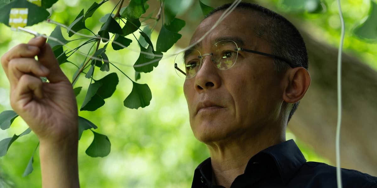 The Next Best Picture Podcast – Interviews With “Silent Friend” Star Tony Leung Chiu-Wai & Filmmaker Ildikó Enyedi