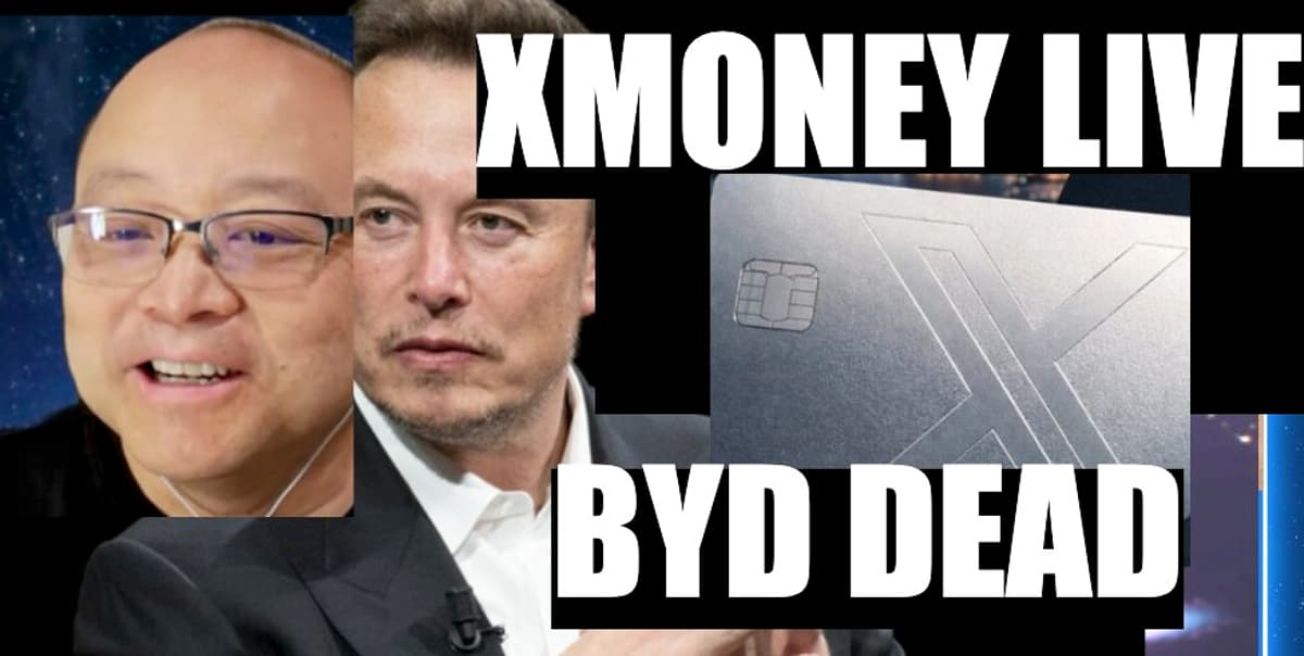 BYD Has Fallen to One Third of China Sales Compared to 1 Year Ago