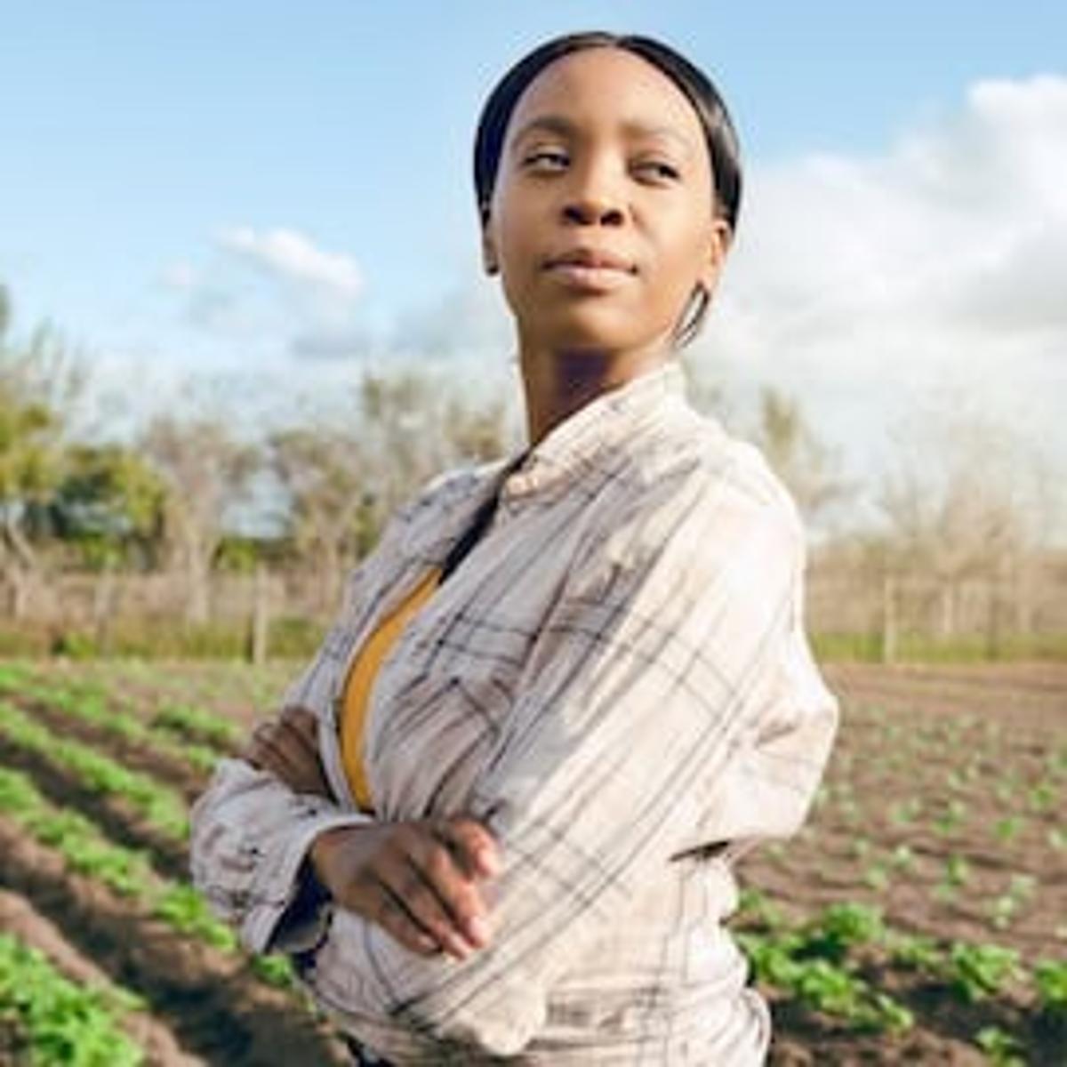 High Expectations Require New Approaches: What Africa’s Social Innovators Need to Scale — And Why Support Systems Must Evolve
