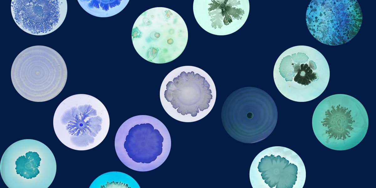 Saving The Life We Cannot See