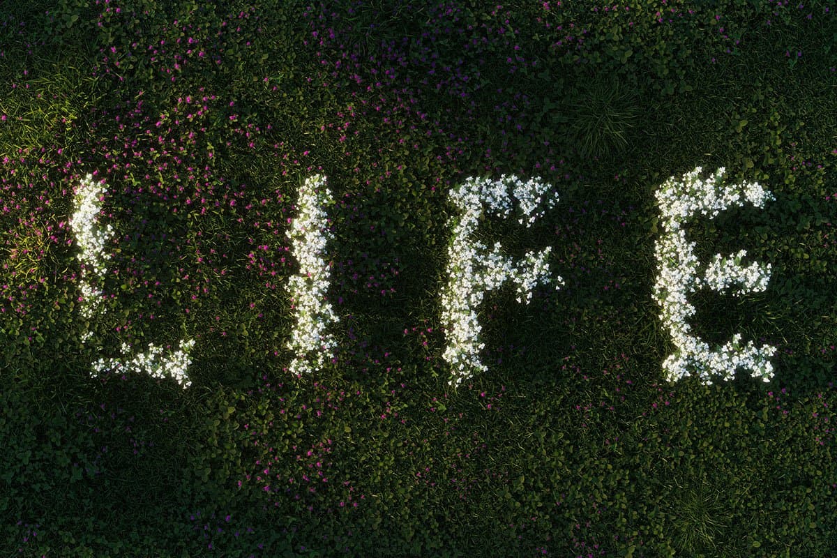Investing in Life: Philanthropy’s Role in Divesting From Systems of Violence