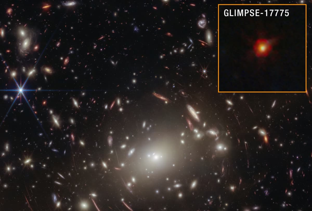 James Webb Reveals a Black Hole Star Inside a Little Red Dot