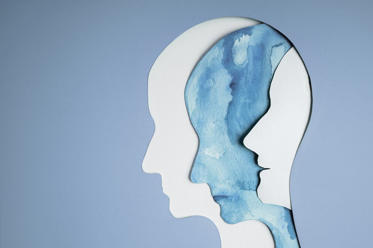 The Role of Gut Microbiota in Mental Health: Current Hypotheses and Research