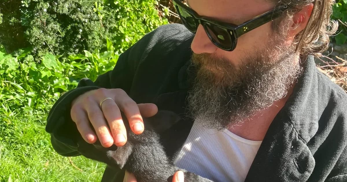 11 New Songs Out Today to Listen To: Father John Misty, Boards of Canada, and More