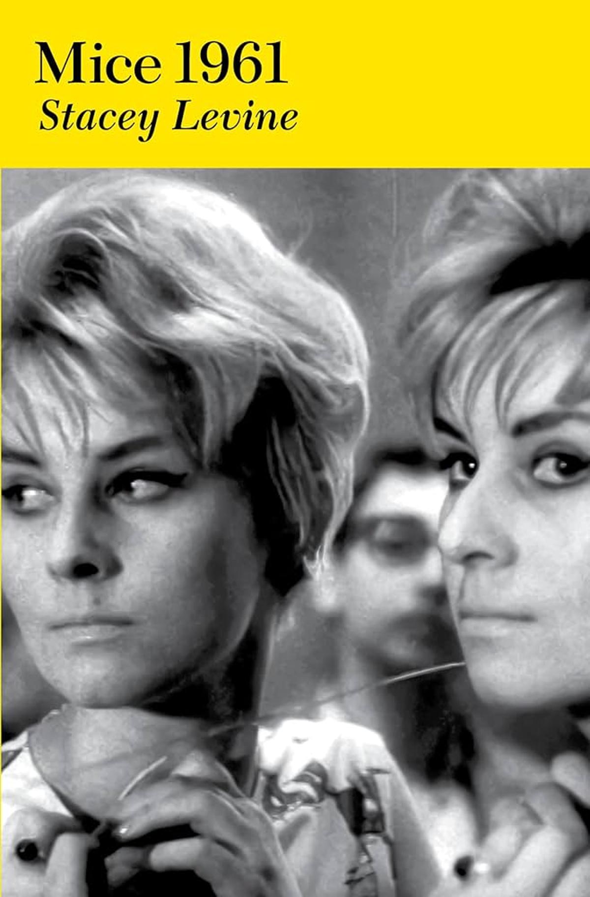 Book Review: Stacey Levine, ‘Mice 1961’