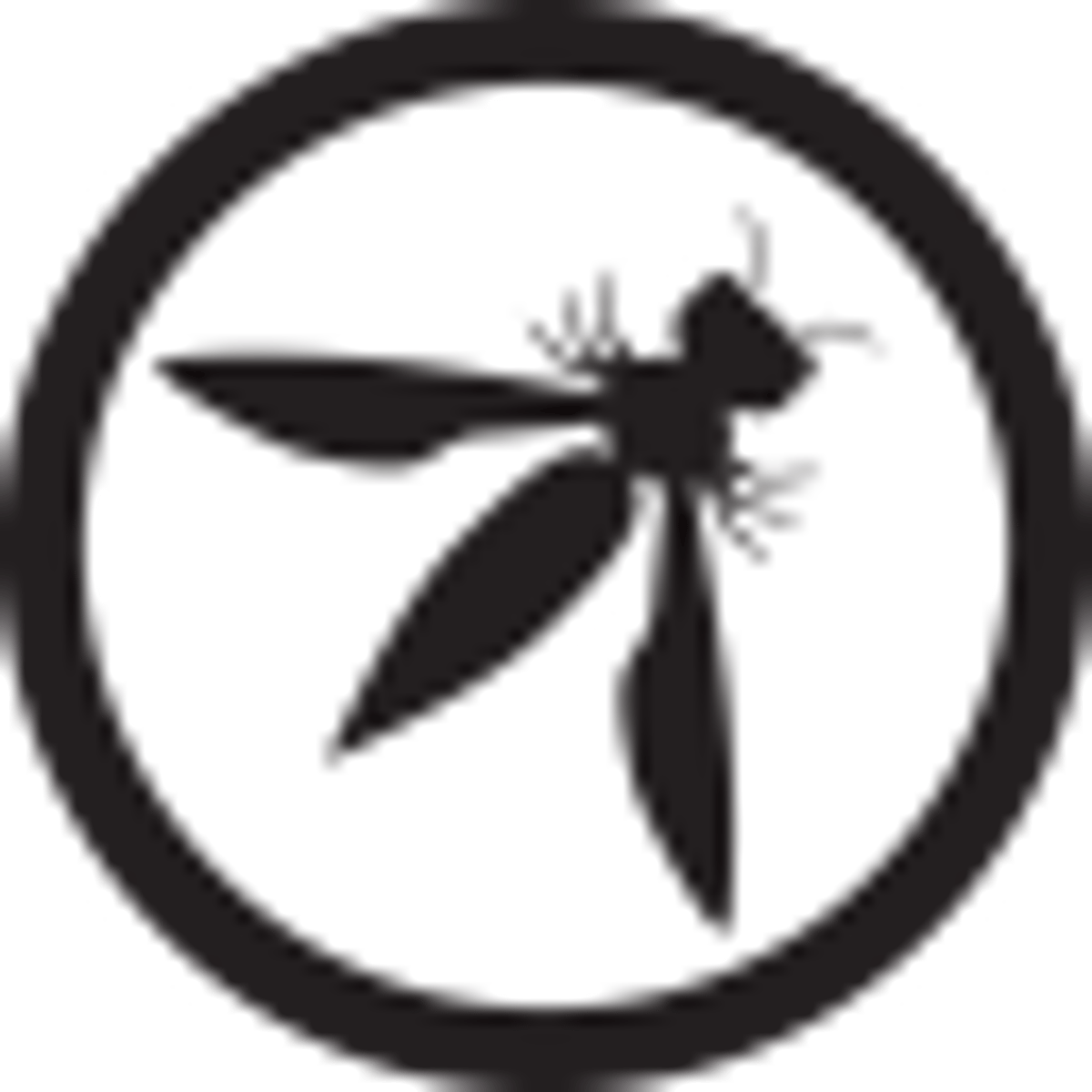 OWASP Foundation Unveils Its Strategic Plan for a World Without Insecure Software