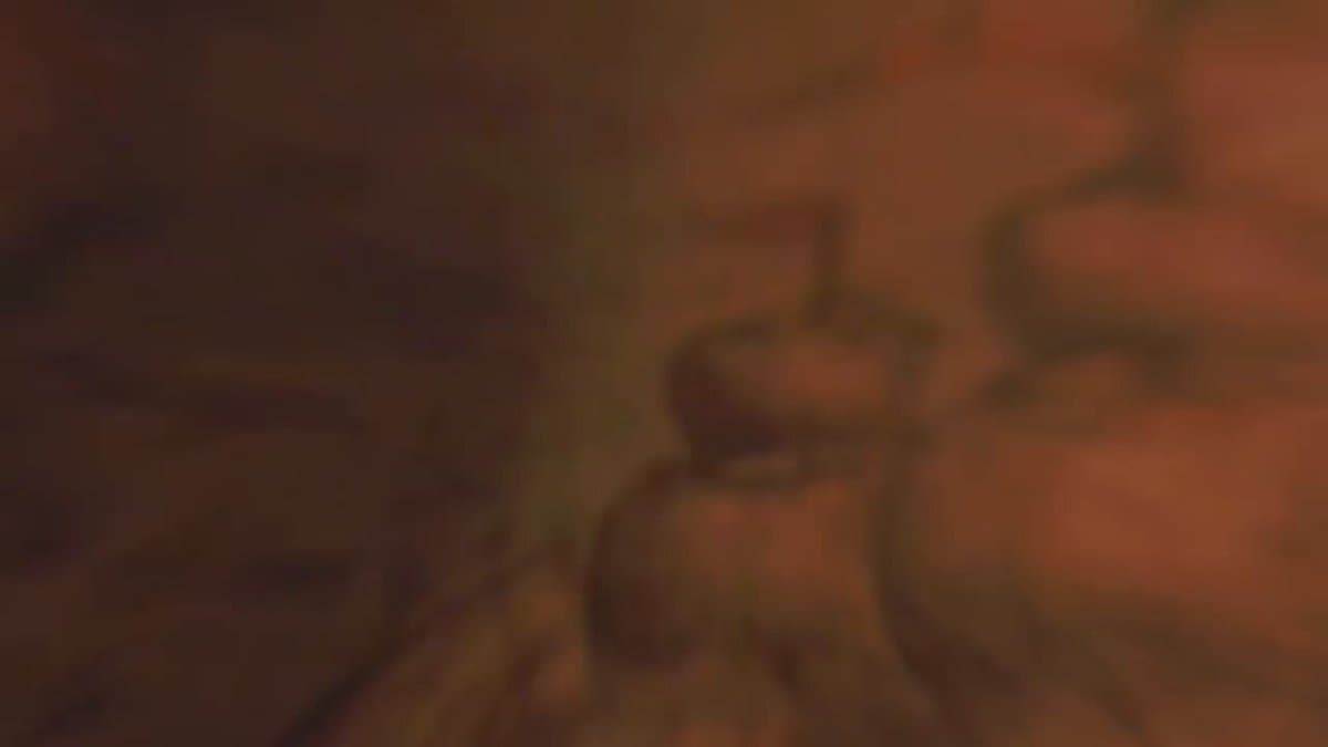 Novogratz Returns for Another Insightful Conversation