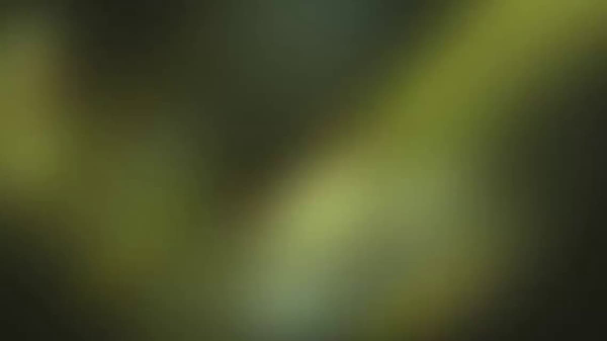 Google Labs' Pomelli AI Auto‑creates Ad Campaigns From Websites